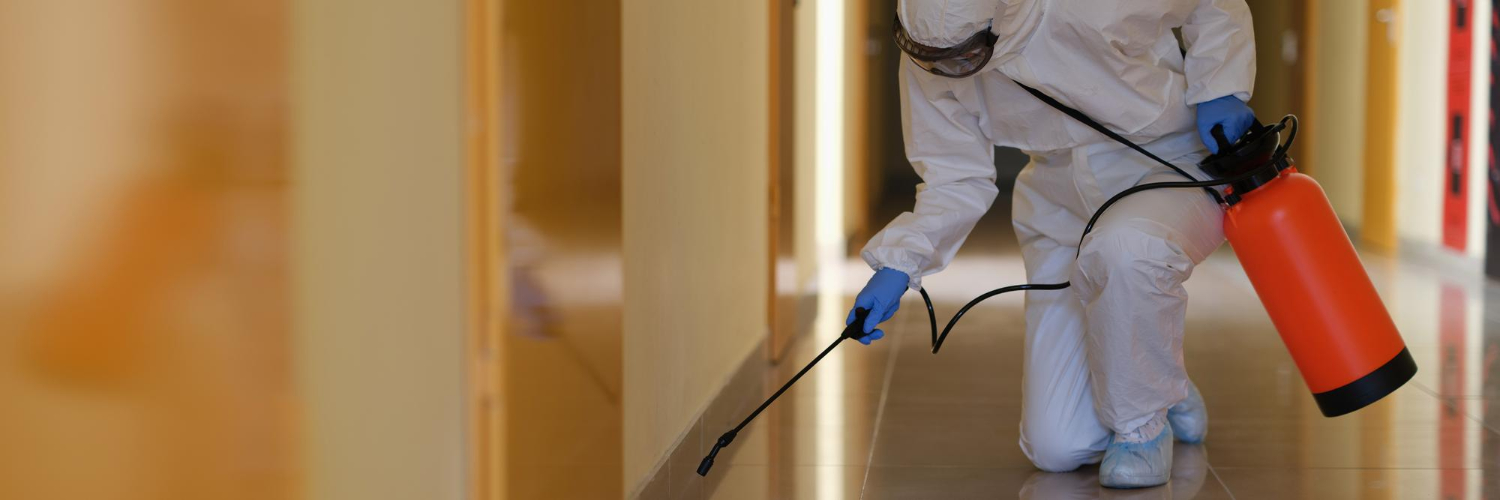 Pest Problem header