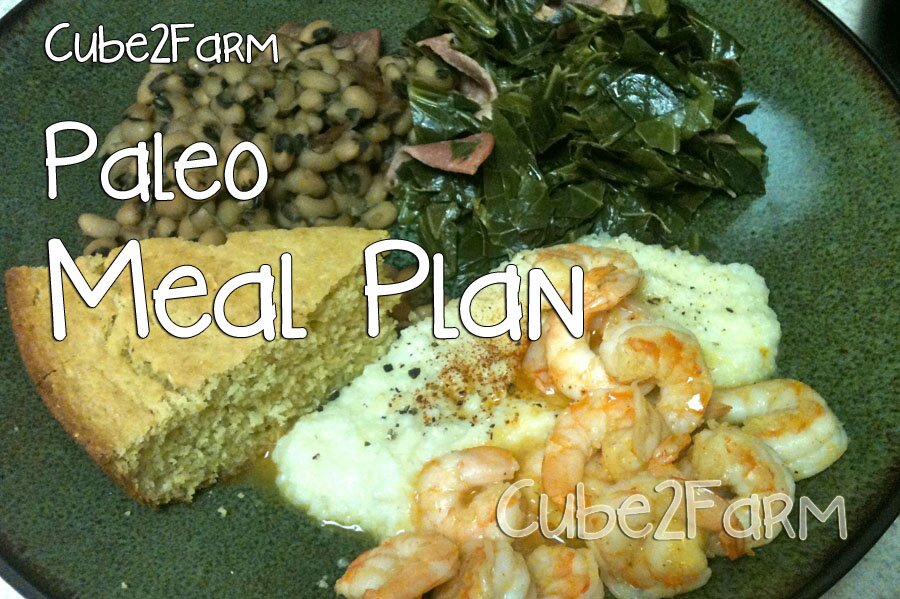 {Going Primal} Paleo Meal Plan